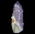 Dark Cactus Quartz (Amethyst) Crystal - South Africa #64241-1